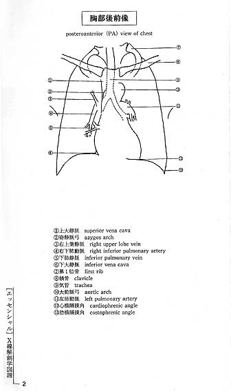 腹部血管のX線解剖図譜 |本 | 通販 | Amazon
